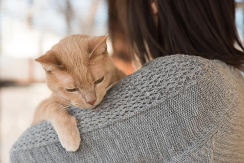 orange cat and owner portrait
